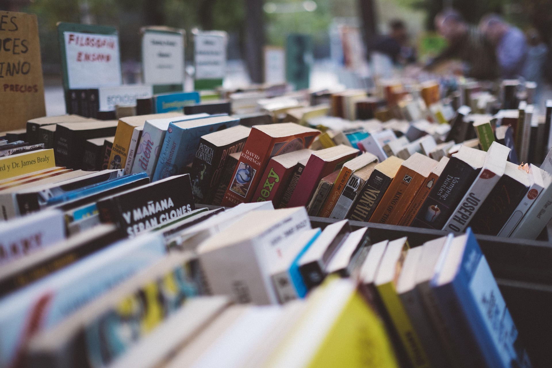 Tendencias literarias que están marcando a loslectores este año